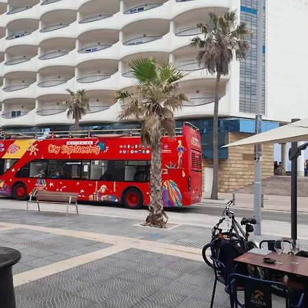 Estudio Carmen * Cádiz